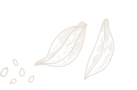 Deco02